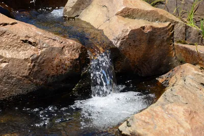 DSC_9943 (Large).JPG